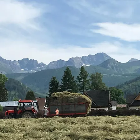 Namiot Dwu Osobowy W Namiocie Tylko Materac I Dwie Poduszki--tent For 2 People, Only A Mattress In The Tent Zakopane