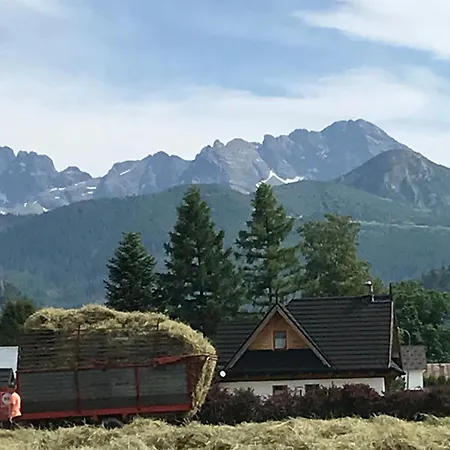 Namiot Dwu Osobowy W Namiocie Tylko Materac I Dwie Poduszki--tent For 2 People, Only A Mattress In The Tent Parque de Campismo *