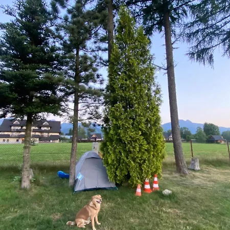 Namiot Dwu Osobowy W Namiocie Tylko Materac I Dwie Poduszki--tent For 2 People, Only A Mattress In The Tent